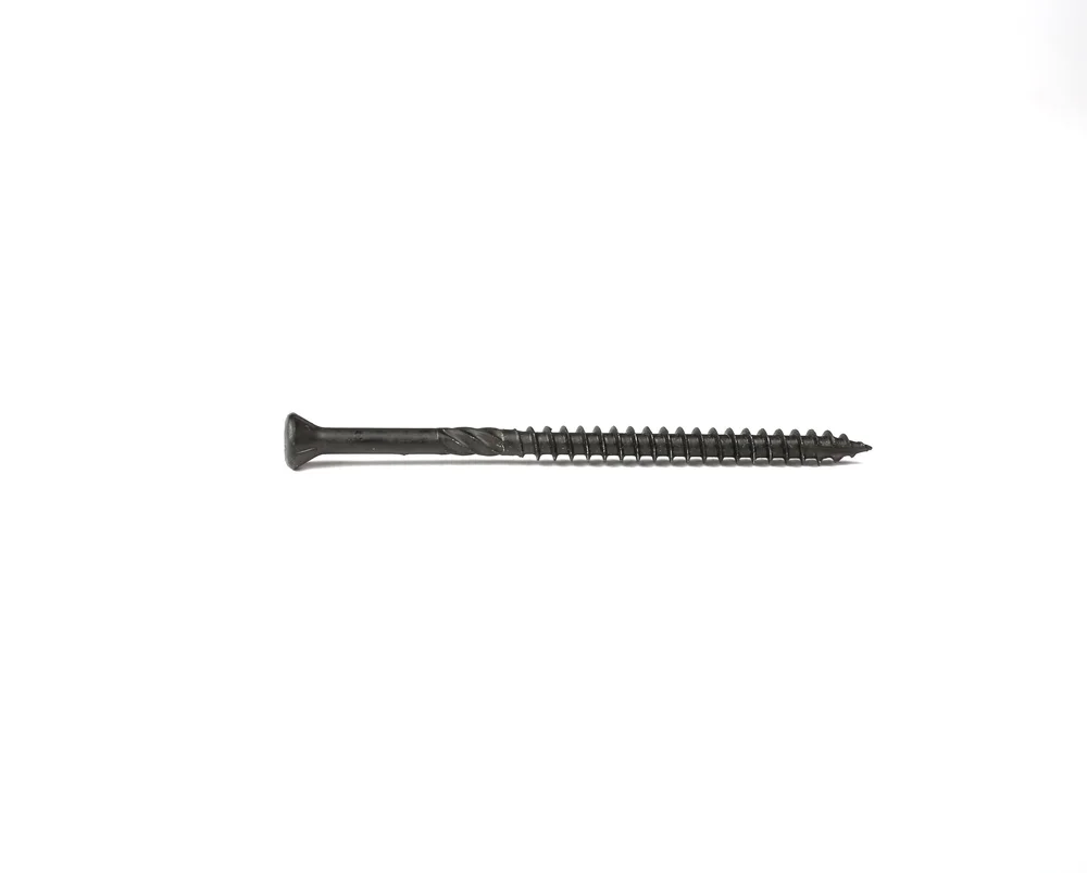 Black Stainless Steel TX Screws